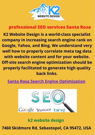 professional SEO services Santa Rosa