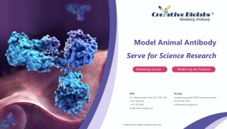 Model Organism Antibody Products