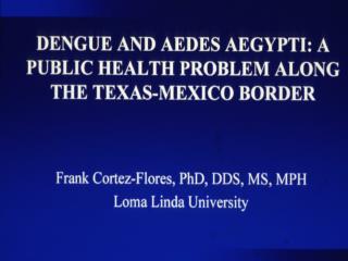 Dengue in the Americas 1980–1998