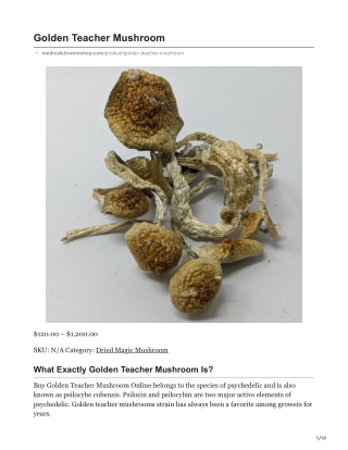 Golden Teacher Mushroom