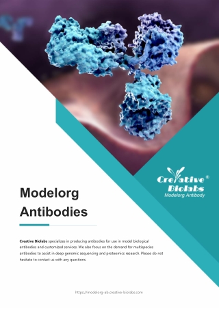 modelorg antibodies development services