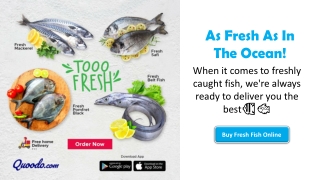 fresh ocean fish