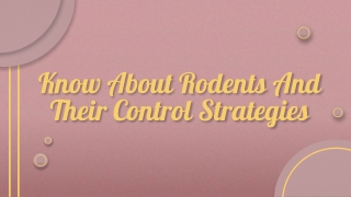 Know About Rodents And Their Control Strategies