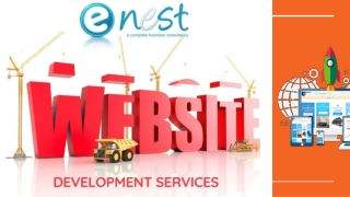 Best Website Designing Company in Delhi