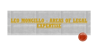 Leo Mongillo - Areas of Legal Expertise