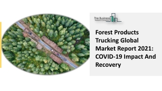 Forest Products Trucking Market Demand Outlook And Profitable Growth By 2025