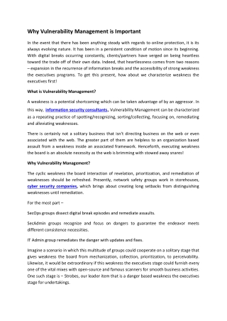 Why Vulnerability Management is Important