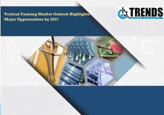 Vertical Farming Market Outlook Highlights Major Opportunities by 2031