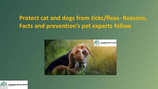 Protect cat and dogs from ticks/fleas- Reasons, Facts and prevention’s pet exper