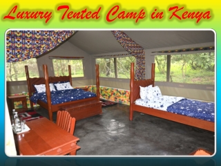 Luxury Tented Camp in Kenya