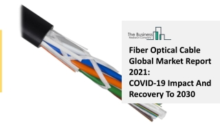 Global Fiber Optical Cable Market Highlights and Forecasts to 2030