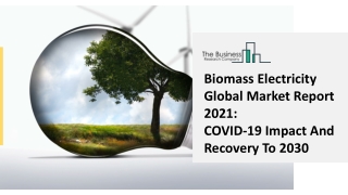 Global Biomass Electricity Market Highlights and Forecasts to 2030