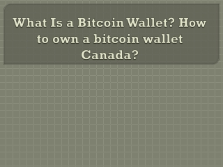 What Is a Bitcoin Wallet ? How to own a bitcoin wallet Canada ?