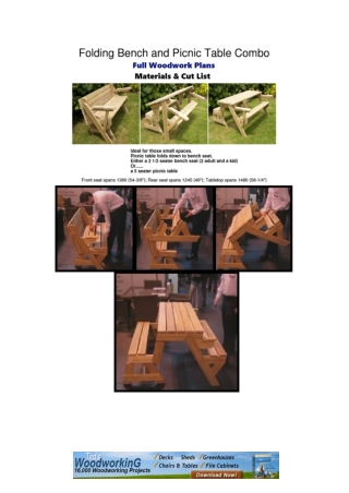 Folding Bench and Picnic Table Combo