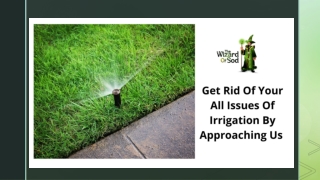 Get Rid Of Your All Issues Of Irrigation By Approaching Us