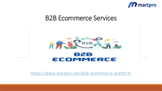 B2B Ecommerce Services