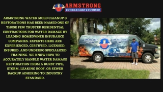 One Stop Solution For Mold Remediation Services | Armstrongwatermoldcleanup