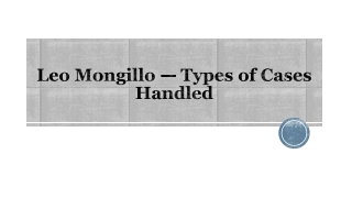 Leo Mongillo — Types of Cases Handled