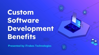 Custom Software Development Benefits - iTrobes