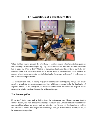 The Possibilities of a Cardboard Box