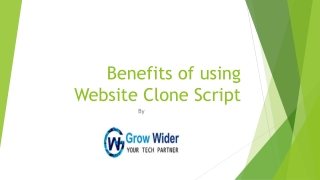 Benefits of using Website Clone Script