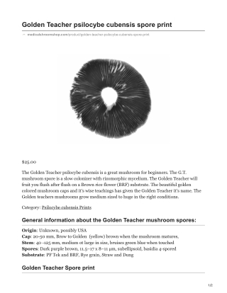 Golden Teacher Psilocybe Cubensis Spore Print