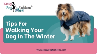 Tips For Walking Your Dog In The Winter