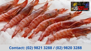 Best Prawns Fish Market