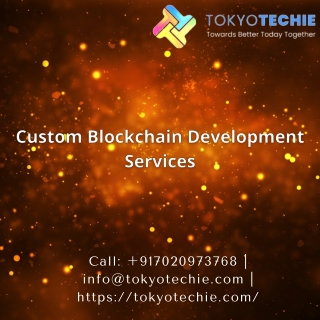 Custom Blockchain Development | TokyoTechie