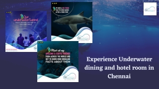 Experience Underwater dining and hotel room in Chennai