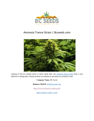Amnesia Trance Strain