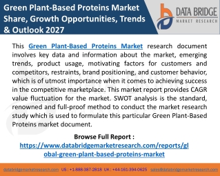 Green Plant-Based Proteins Market Statistics, Growth, Upcoming Investment