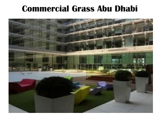 Commercial Artificial Grass Dubai