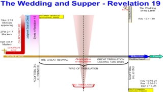 Art and/or Science of Revelation 19