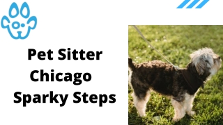 Pet Sitter Chicago