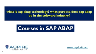 what is sap abap technology? what purpose does sap abap do in the software indus