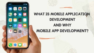 Mobile App Development Dubai _ Mobile App Development UAE