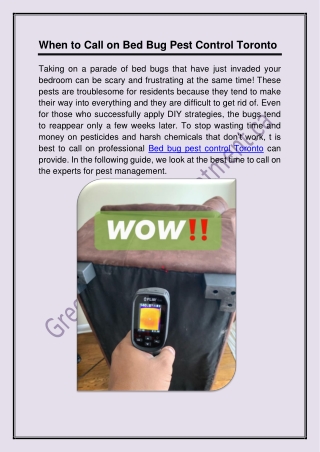 When to Call on Bed Bug Pest Control Toronto