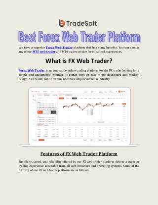 Best Forex Web Trader Platform