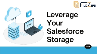 Leverage Your Salesforce Cloud Storage with File ZIPO