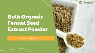 USDA Approved Bulk Organic Fennel Seed Extract Powder Supplier