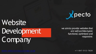 Website Development Company