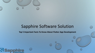 Top 5 Important Facts To Know About Flutter App Development