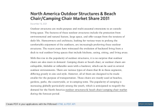 North America Outdoor Structures & Beach Chair/Camping Chair Market Share 2031
