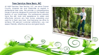 Tree Service New Bern, NC