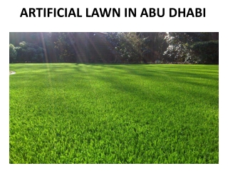 ARTIFICIAL LAWN IN ABU DHABI