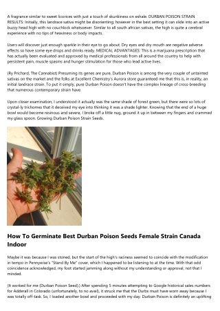 12 Valuable Tips For Growing Excellent Durban Poison Seeds Fem