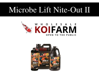 Microbe Lift Nite-Out II