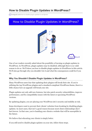 How to Disable Plugin Updates in WordPress?
