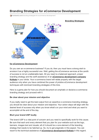 Branding Strategies for eCommerce Development